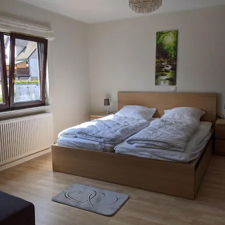 Zur Forshuette Apartament